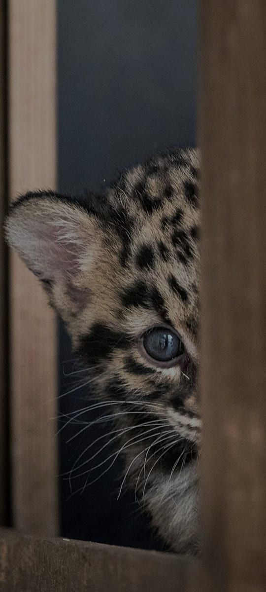 Profil von Moundir